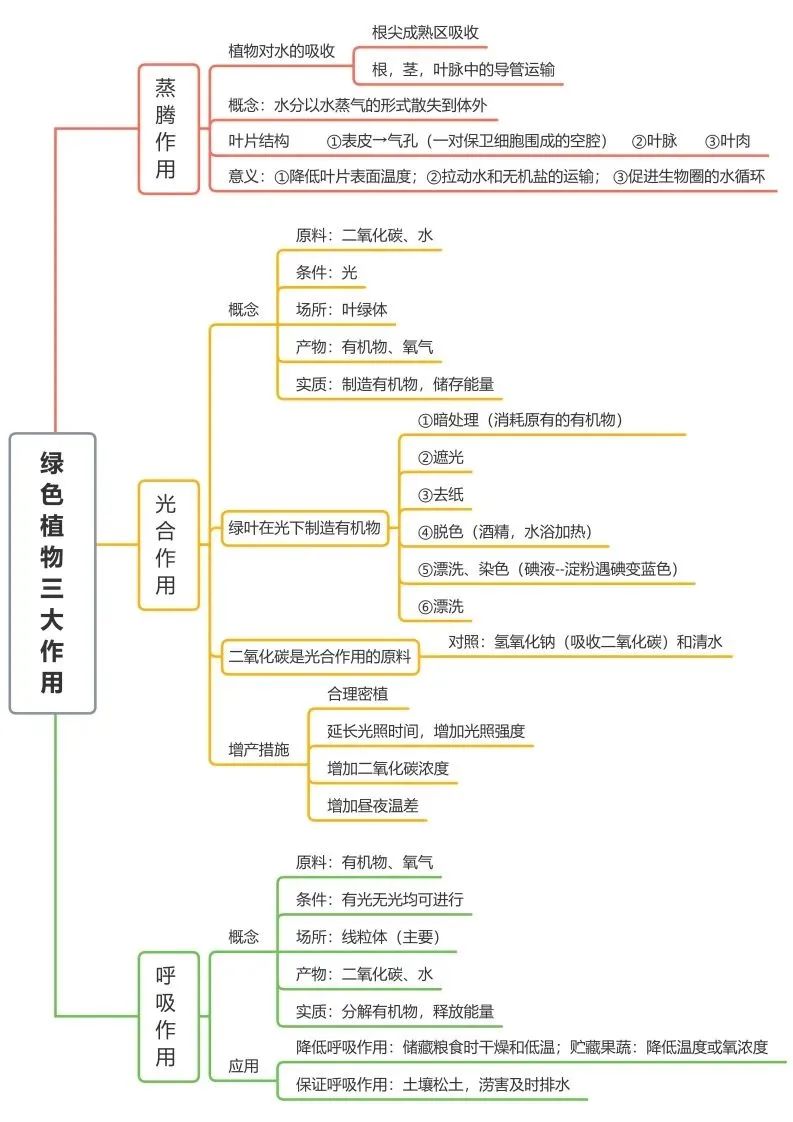 初中生物思维导图-绿色植物三大作用