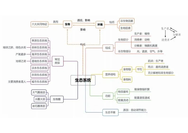 初中生物思维导图-生态系统