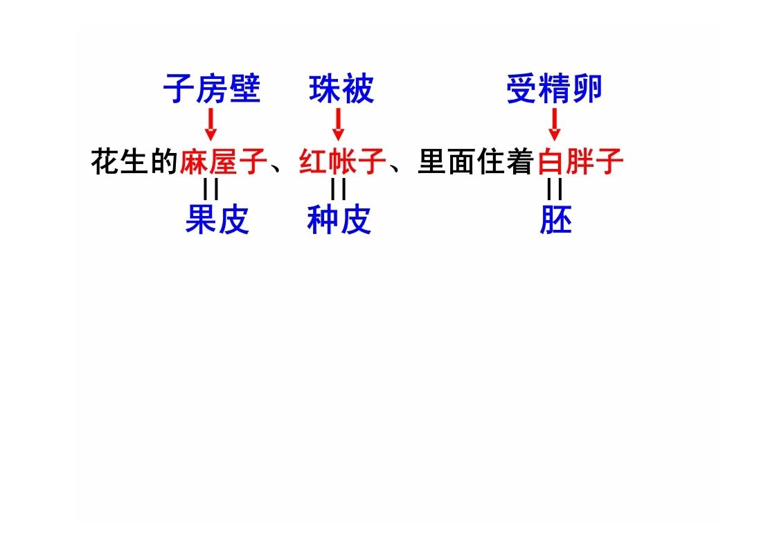 八年级生物知识点重点图示解析