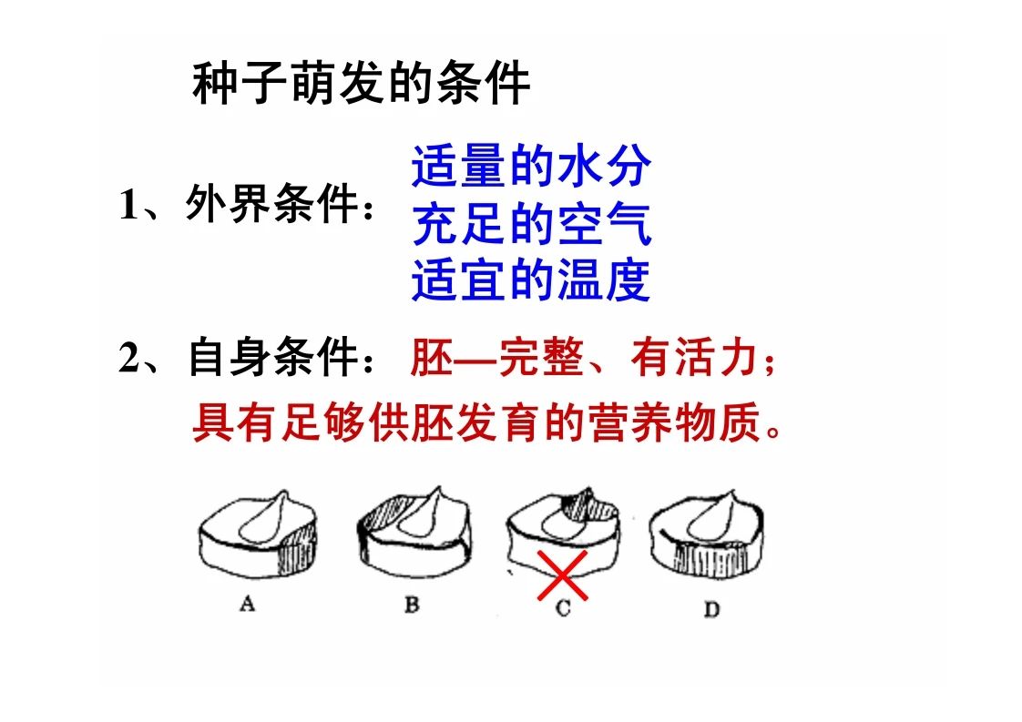 八年级生物知识点重点图示解析